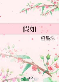 假如